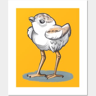 piping plover bird Posters and Art